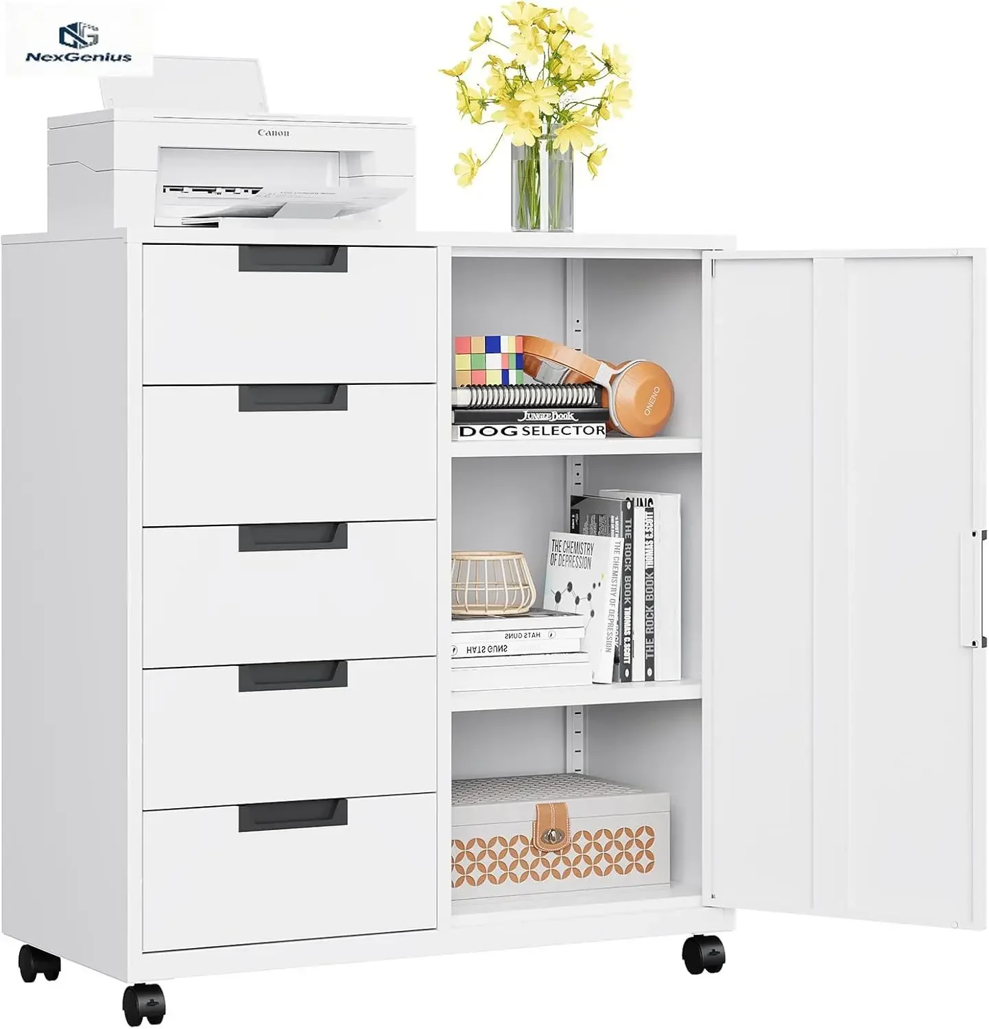Opbergkast met 5 laden, deur e - File Cabinet Lateral recensie en prijs