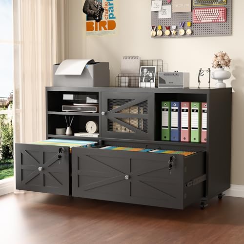 Boerenkast met 2 laden en slot - File Cabinet Lateral recensie en prijs
