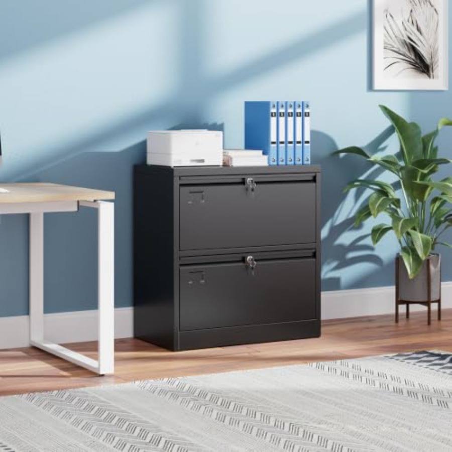 2-laden zijdelingse archiefkas - File Cabinet Lateral recensie en prijs
